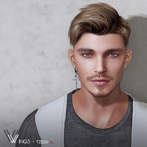 Second Life Marketplace WINGSHAIRTZ1226 Variety (Pack)